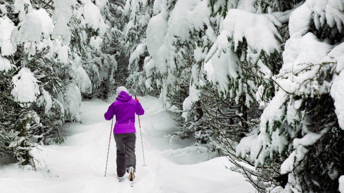 Cross Country Skiing